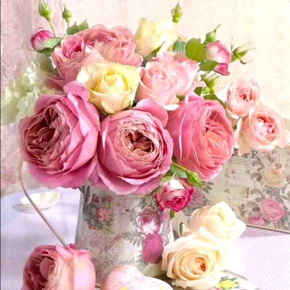 Meet your Posher, Maria - Picture 1 of 1